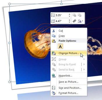 Learn PowerPoint 2010 for Windows: Change Picture