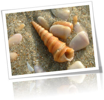 PowerPoint and Presenting News: November 21, 2016