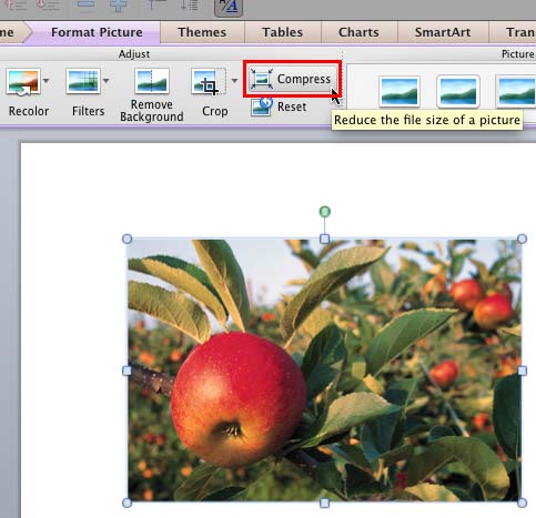 resize picture within powerpoint for mac reduce size
