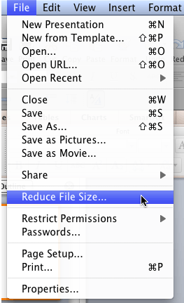 Reduce File Size menu option