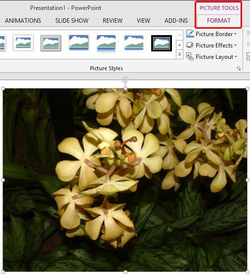 compress images in powerpoint 2013