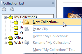 New Collection option New Collection option