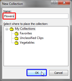 New Collection dialog box
