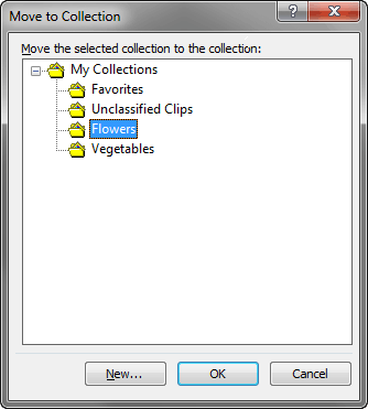 Move your Collection folder