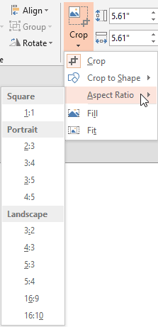 Aspect Ratio sub-gallery within the Crop drop-down gallery