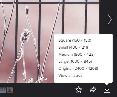 All sizes of the selected picture All sizes of the selected picture