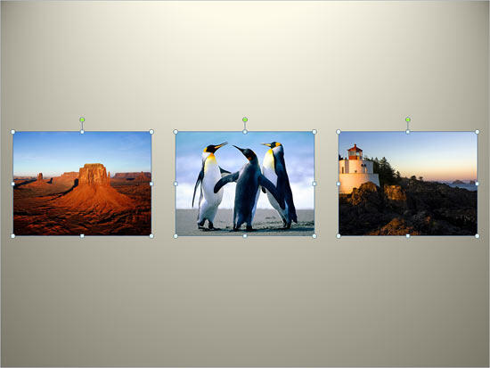 Resized and aligned pictures selected on the slide