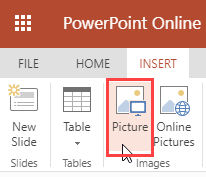 Picture button within the Insert tab