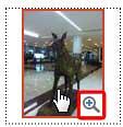 Magnifying glass icon appears over the picture preview Magnifying glass icon appears over the picture preview