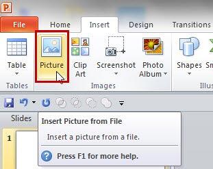 Picture button within the Insert tab Picture button within the Insert tab
