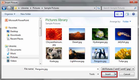 Insert Picture dialog box Insert Picture dialog box
