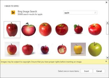Learn PowerPoint 2013 from Windows: Insert Pictures from Bing