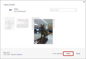 Insert Picture from Flickr