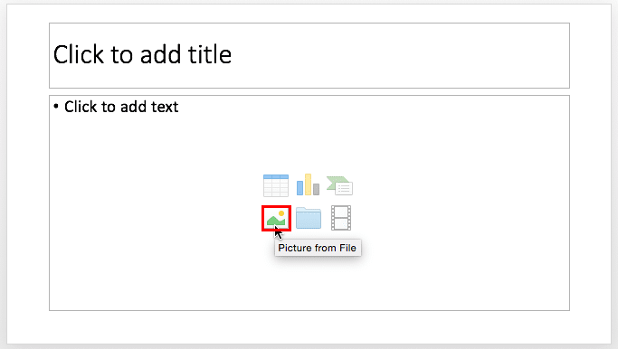 Picture from File button within Content placeholder