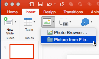 Picture from File option within the Insert tab