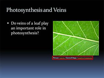 Attributing Creative Commons Pictures in your PowerPoint Slides