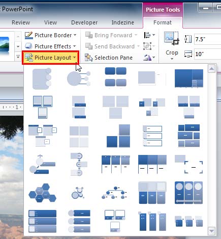 Picture Layout drop-down gallery Picture Layout drop-down gallery