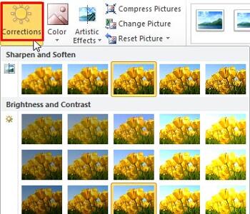 Learn PowerPoint 2010 for Windows: Picture Corrections