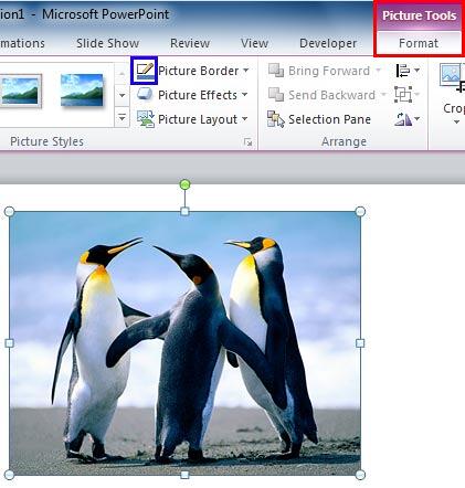 Picture Border button within the Picture Tools Format Picture tab Picture Border button within the Picture Tools Format Picture tab
