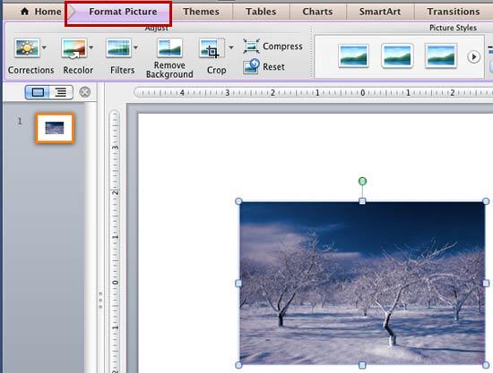 Format Picture tab of the Ribbon activated Format Picture tab of the Ribbon activated