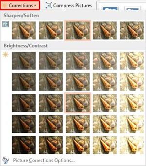 Picture Corrections in PowerPoint 2013 for Windows
