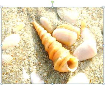 Learn PowerPoint 2013 for Windows: Picture Corrections