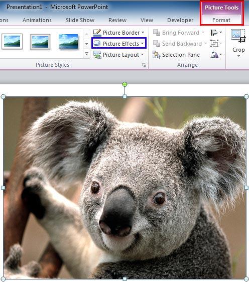 Picture Effects button within the Picture Styles group
