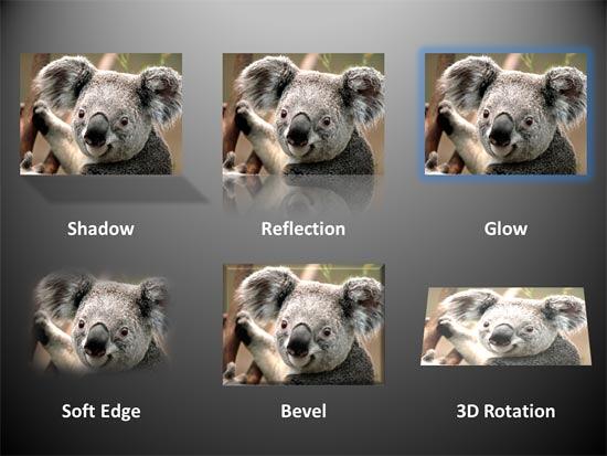 Variants of the same picture with different effects applied Variants of the same picture with different effects applied