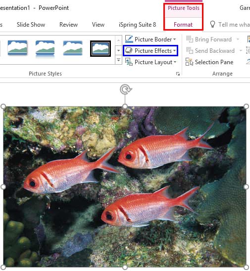 Picture Effects button Picture Effects button