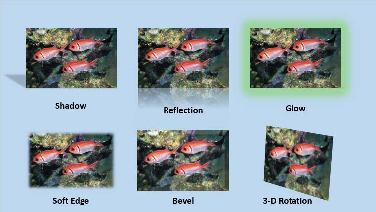 Variants of the same picture with different effects applied