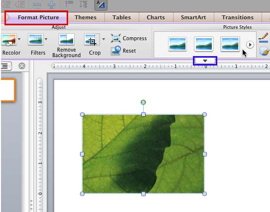 Picture Styles In Powerpoint 11 For Mac