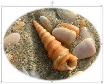 Learn PowerPoint 2013 for Windows: Picture Styles