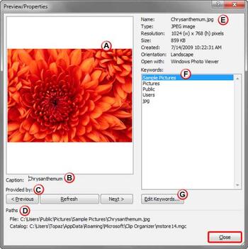Learn PowerPoint 2010 for Windows: Clip Media Properties in Clip Organizer