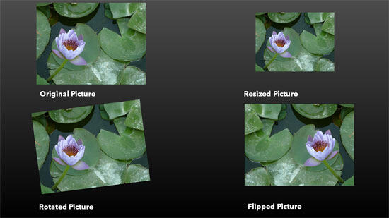 Variants of the same picture applied with resize, rotate, and flip options