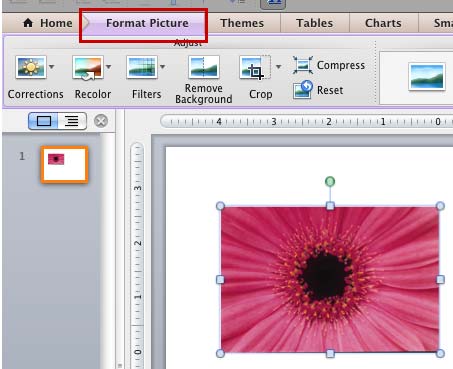 Format Picture tab of the Ribbon activated Format Picture tab of the Ribbon activated