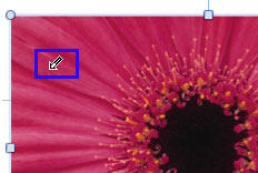 Cursor gets changed when the Set Transparent Color option is selected Cursor gets changed when the Set Transparent Color option is selected