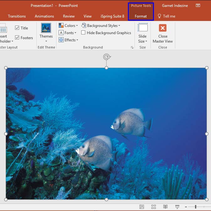 Picture Tools Format tab contextual tab
