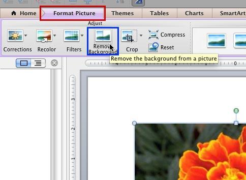change the background in powerpoint office for mac
