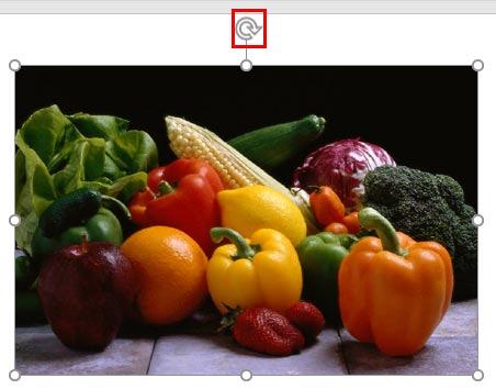 White rotation handle White rotation handle