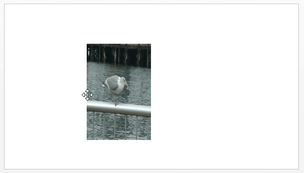 Drag the side handle towards the other end of the picture Drag the side handle towards the other end of the picture