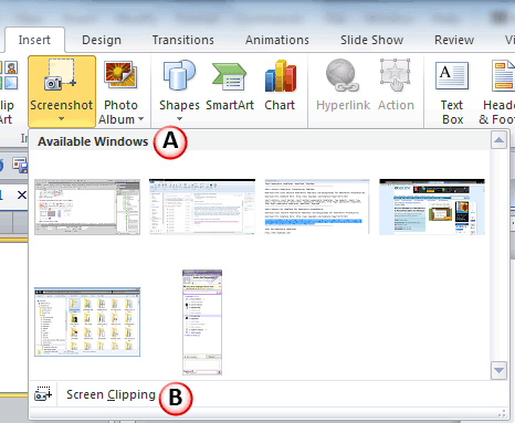 Screenshot Option Screenshot Option