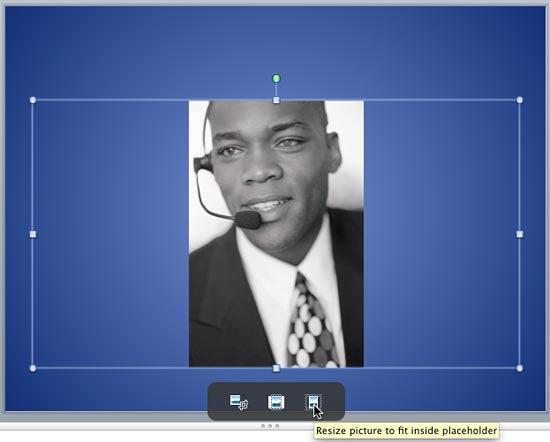 Results of applying the Crop to Fit option to a picture in a placeholder Results of applying the Crop to Fit option to a picture in a placeholder