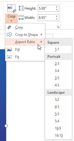 Aspect Ratio sub-gallery within the Crop drop-down gallery