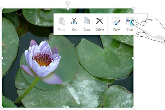 Crop button within the Picture floatie