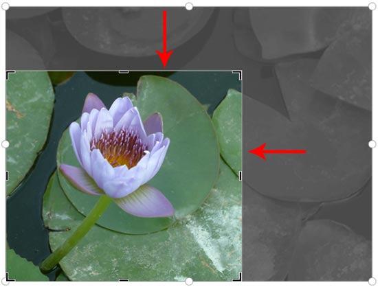 Cropping using corner crop handle