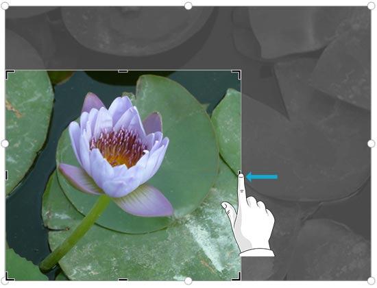 Drag side crop handle inwards