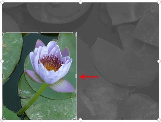 Cropping using side crop handle