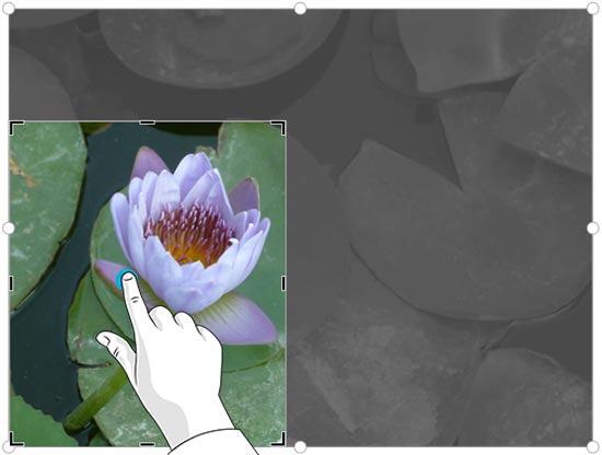 Tap in the middle of placeholder to move the crop area