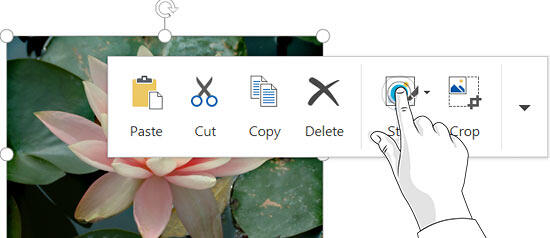 Tap on the required button within the floatie