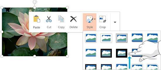 Style drop-down gallery